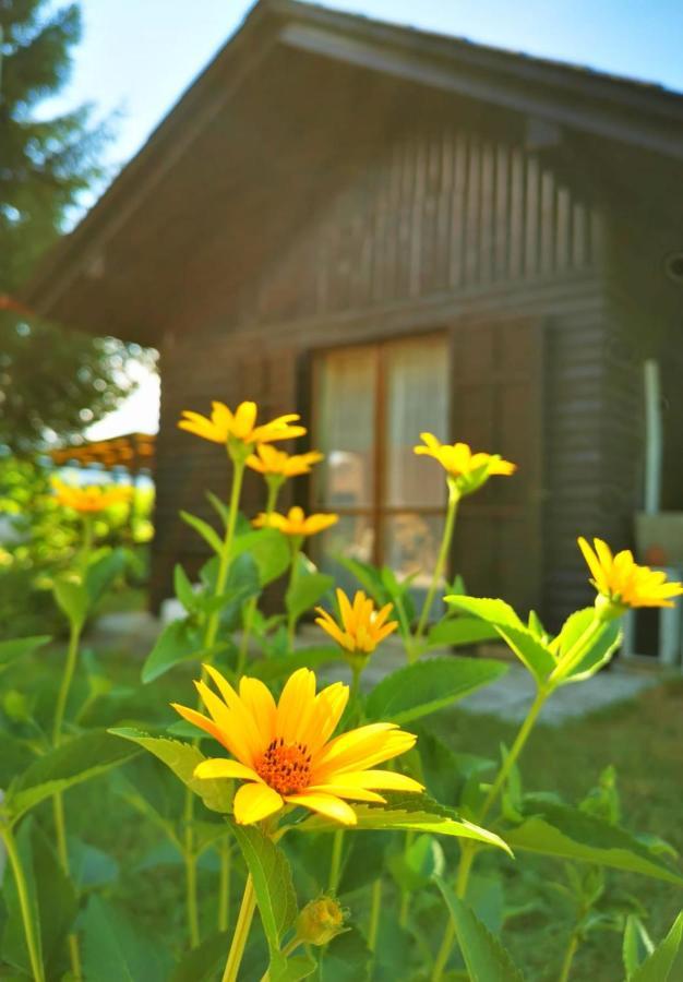 Merikotka - A Cozy Wooden Cottage, Slovenia Braslovce Exteriör bild