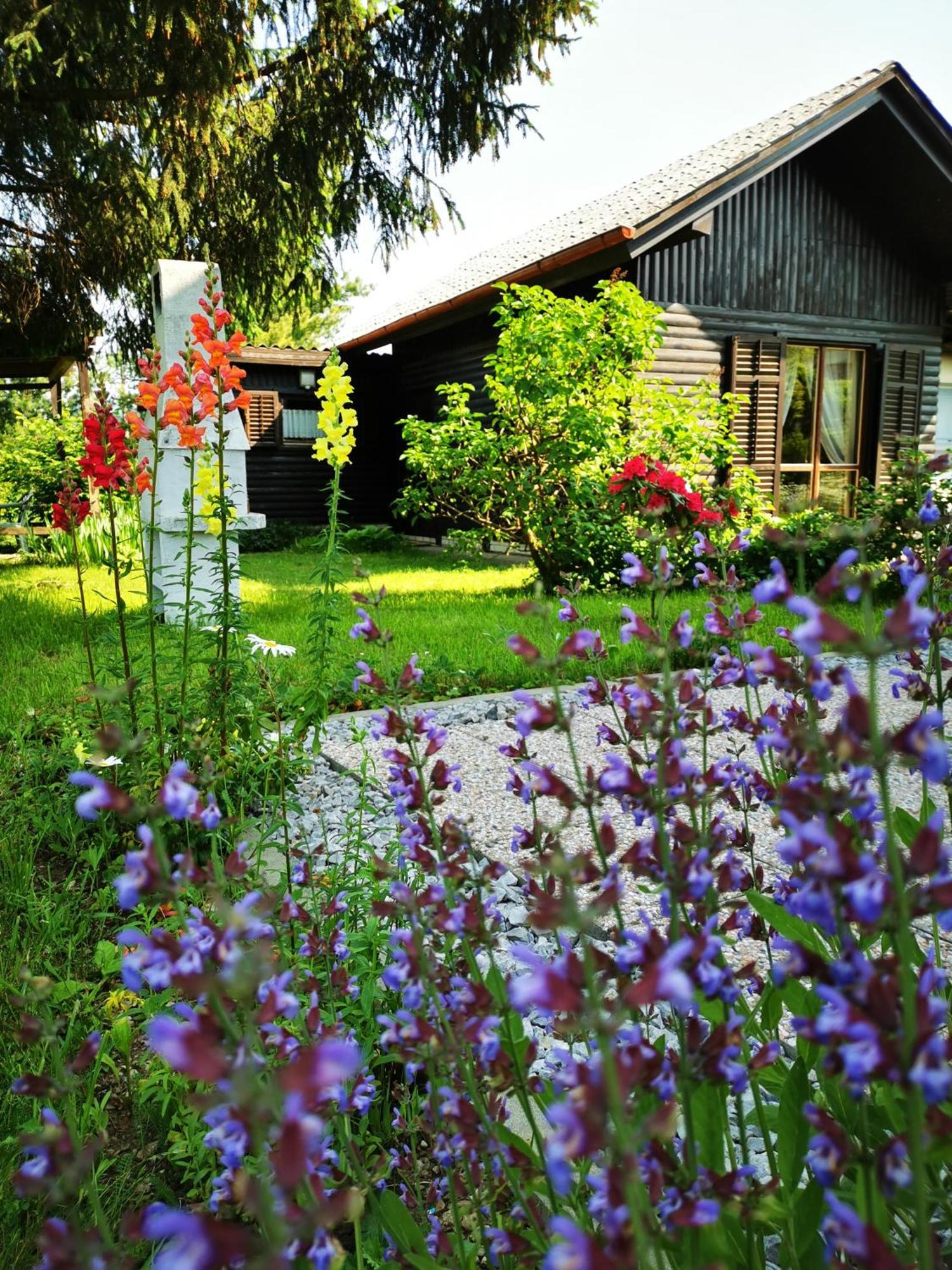 Merikotka - A Cozy Wooden Cottage, Slovenia Braslovce Exteriör bild