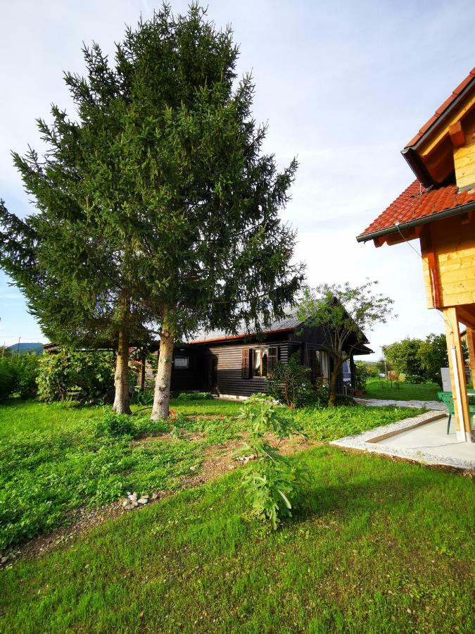 Merikotka - A Cozy Wooden Cottage, Slovenia Braslovce Exteriör bild